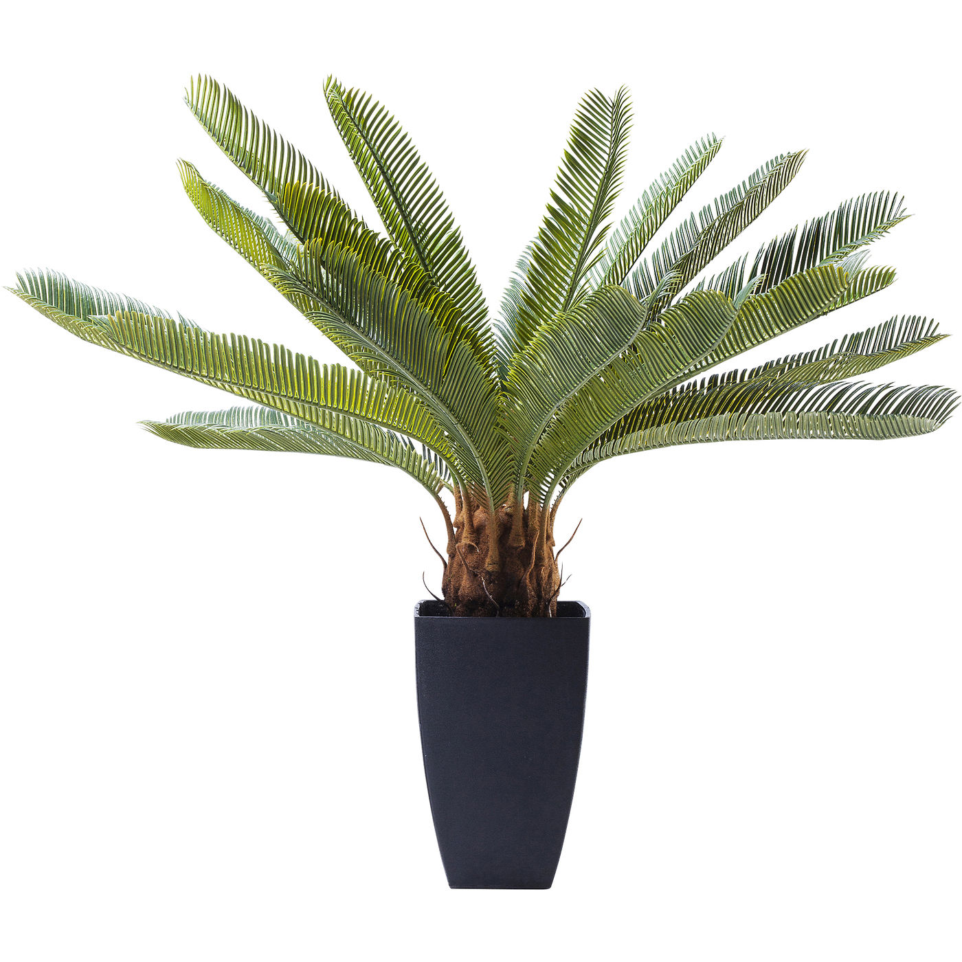 Deko Pflanze Cycas Tree 78cm