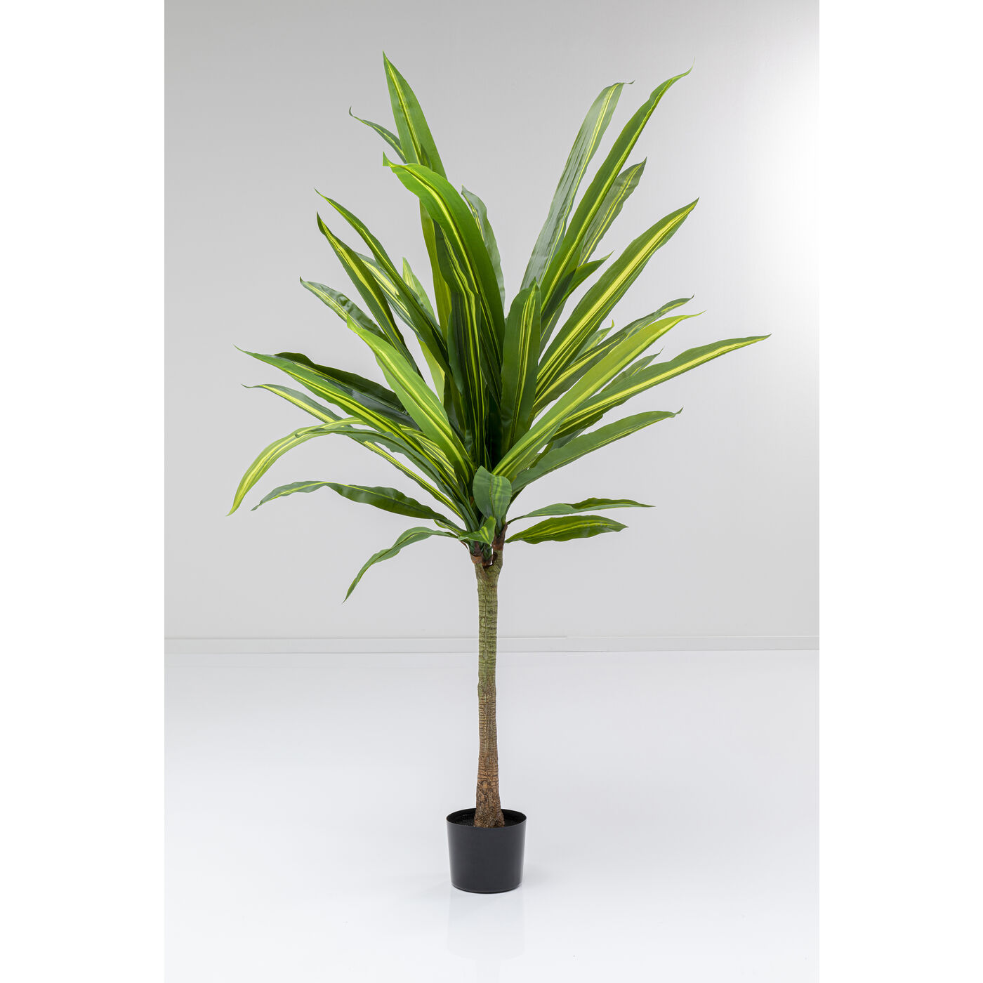 Deko Pflanze Dracaena Fragrans 180cm