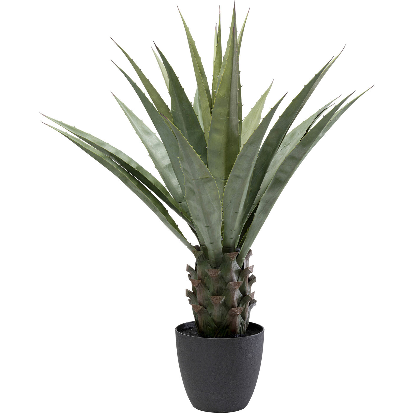 Deko Pflanze Agave 85cm