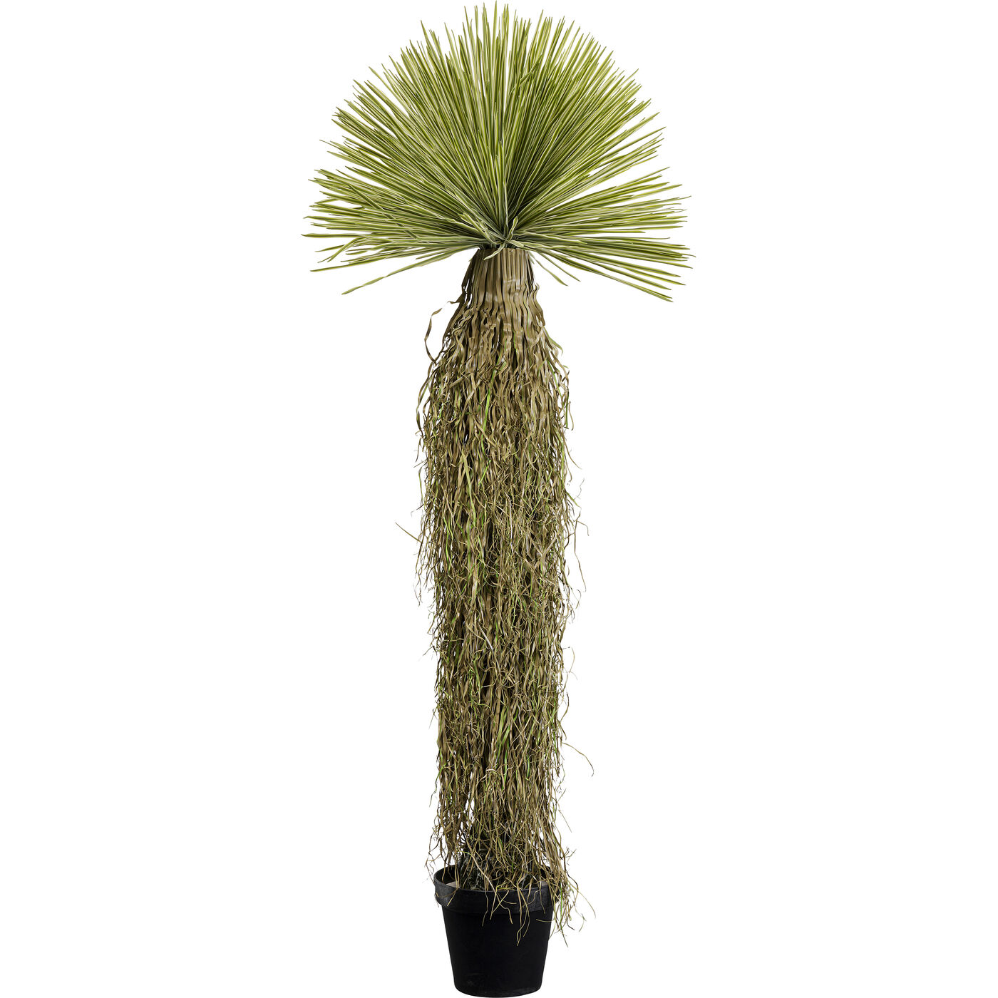 Deko Pflanze Yucca Rostrata 180cm