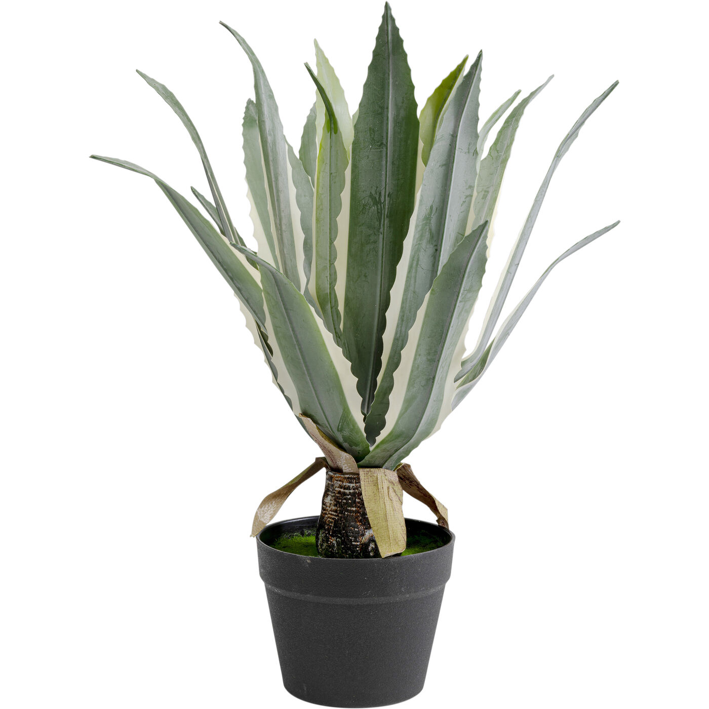 Deko Pflanze Agave 50cm