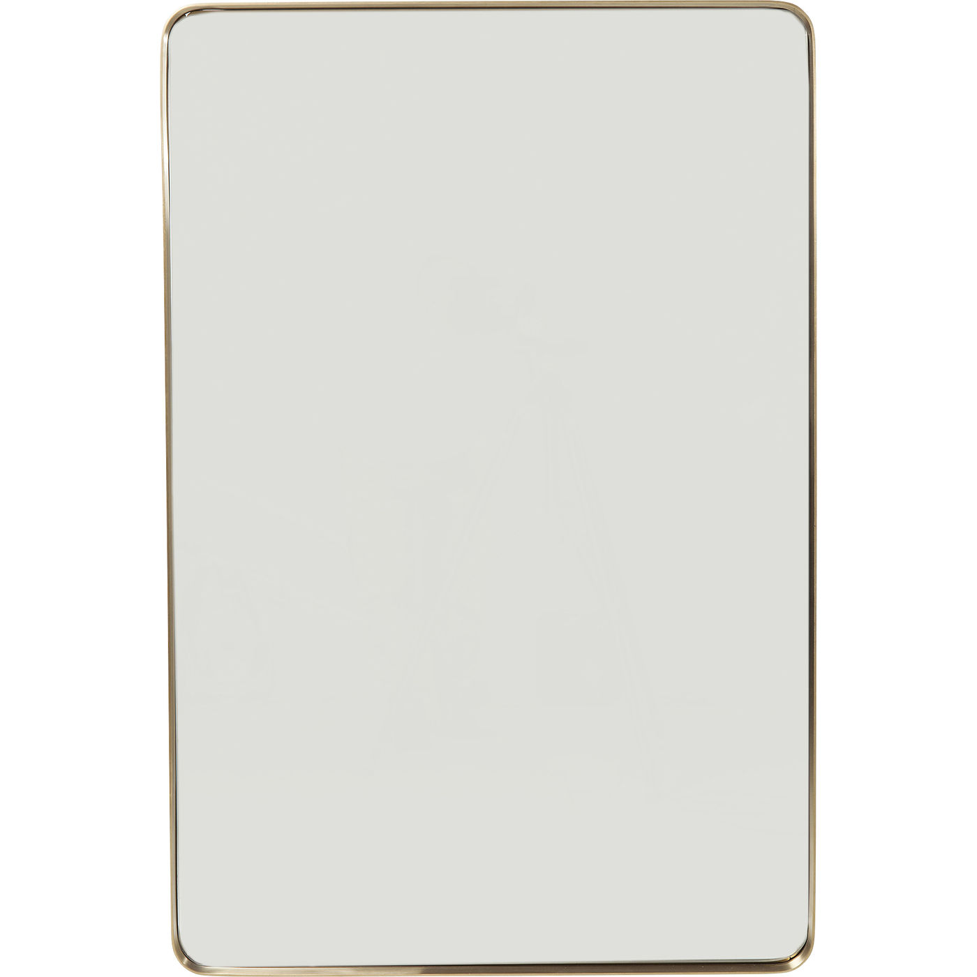 Spiegel Curve Rectangular Brass 80x120cm