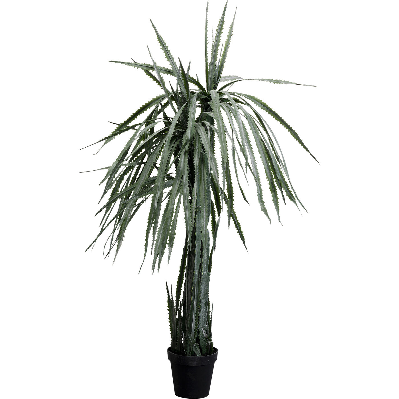 Deko Pflanze Dragon Tree 155cm