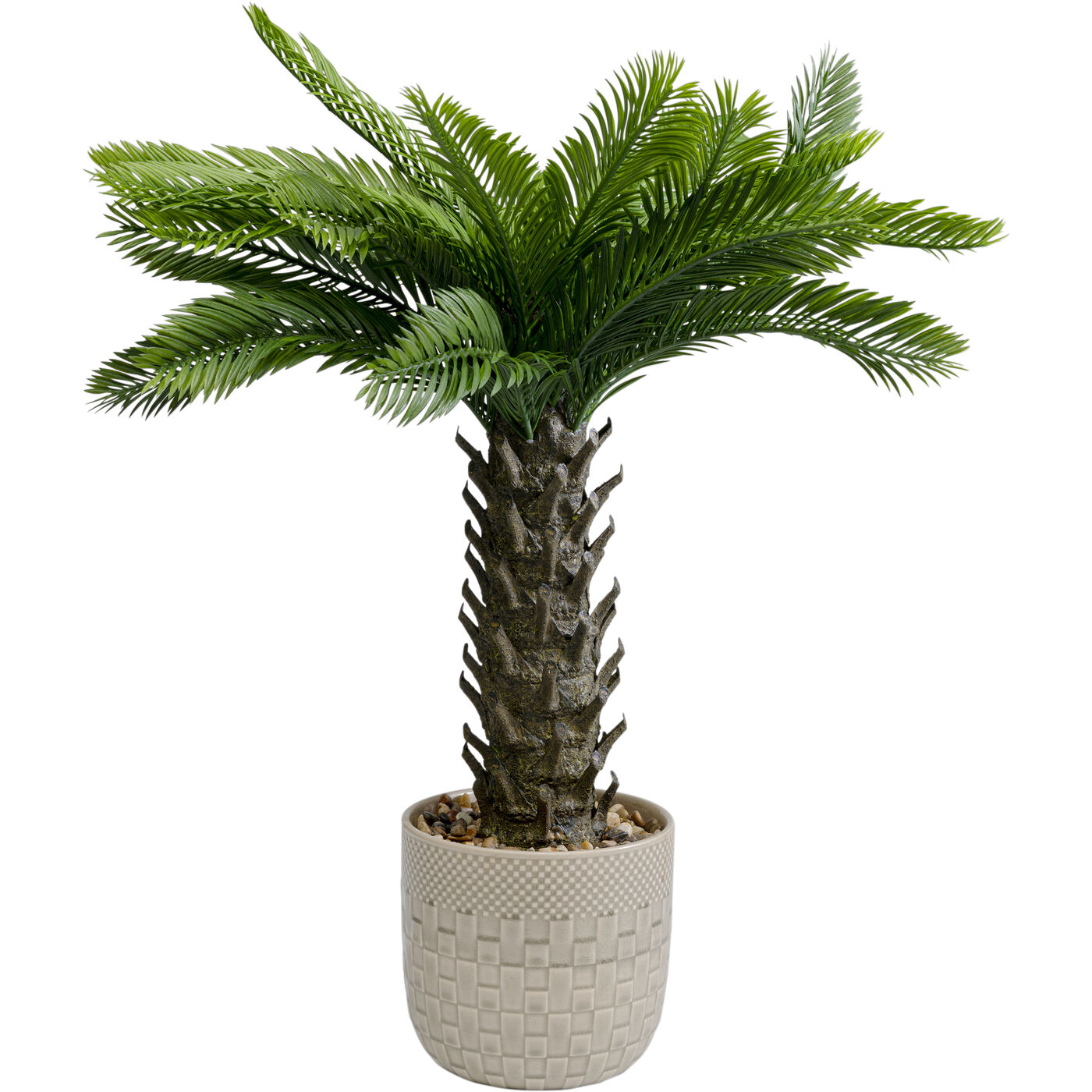 Deko Pflanze Cycas 70cm