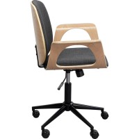 Office Chair Patron Nature