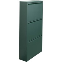 Shoe Container Caruso 3 Green (MO)