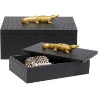 Box Crocodile Black (2/Set)