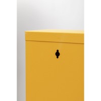 Shoe Container Caruso 3 Yellow (MO)