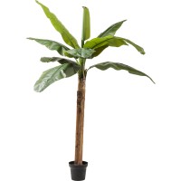 KARE Green Deko Pflanze Banana Tree 190cm OCCASION