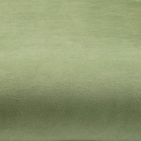 Fabric Swatch Bellissima Velvet Green 10x10cm